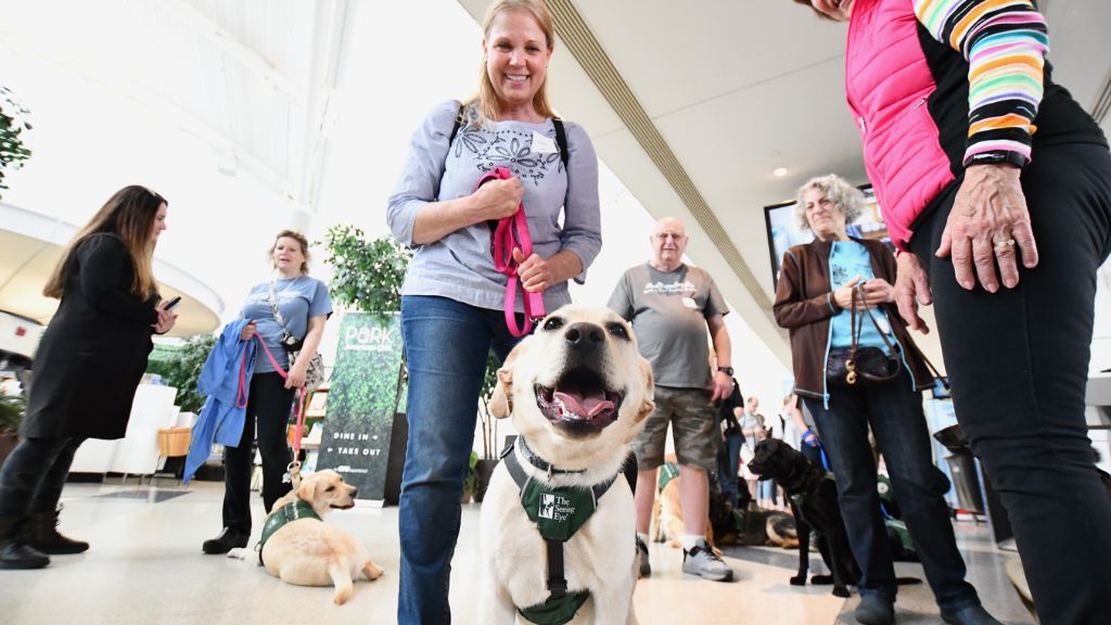 Pet Travel Facility At Newark Liberty Airport