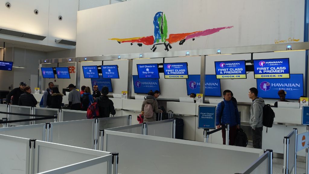 What terminal is Hawaiian Airlines at JFK